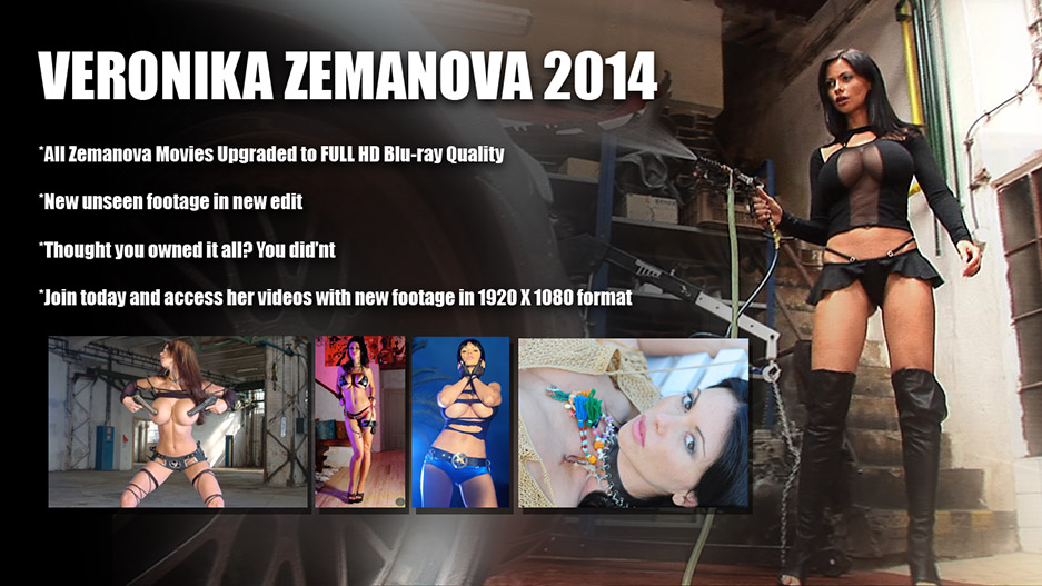 VZ AG 2014 Preview